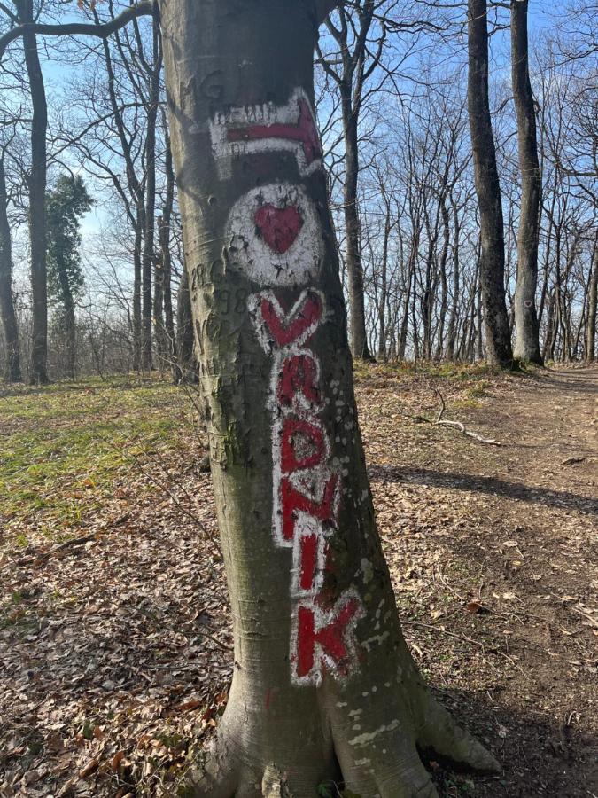 Apartmani Marija Vrdnik Buitenkant foto