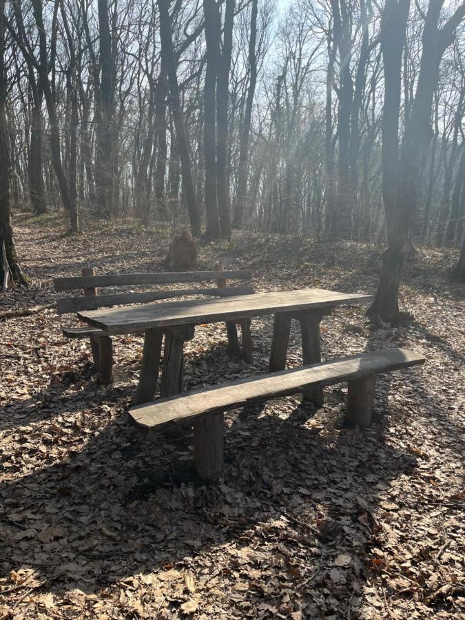 Apartmani Marija Vrdnik Buitenkant foto